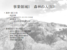 事業領域１　森林の入り口